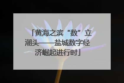 黄海之滨“数”立潮头——盐城数字经济崛起进行时