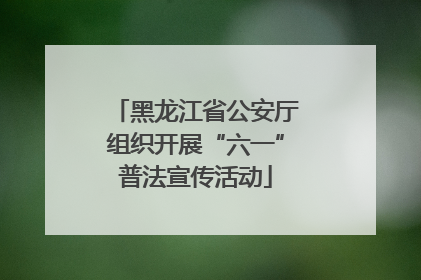 黑龙江省公安厅组织开展“六一”普法宣传活动