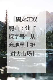 黑龙江双鸭山：让“绿字号”从寒地黑土挺进大市场