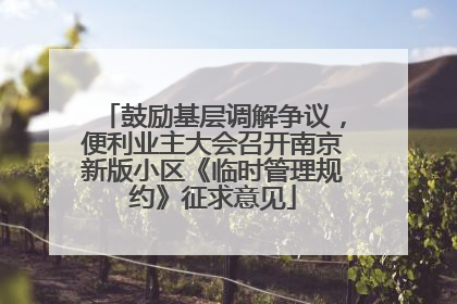 鼓励基层调解争议，便利业主大会召开南京新版小区《临时管理规约》征求意见