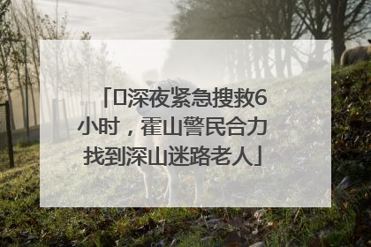 ﻿深夜紧急搜救6小时，霍山警民合力找到深山迷路老人