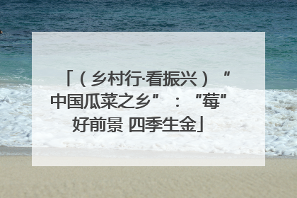 （乡村行·看振兴）“中国瓜菜之乡”：“莓”好前景 四季生金