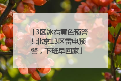 3区冰雹黄色预警！北京13区雷电预警，下班早回家