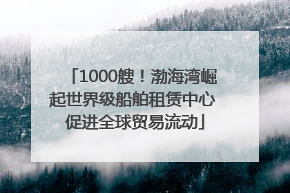 1000艘！渤海湾崛起世界级船舶租赁中心 促进全球贸易流动