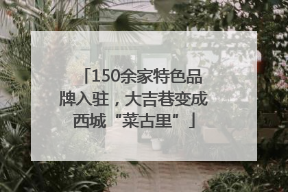 150余家特色品牌入驻，大吉巷变成西城“菜古里”