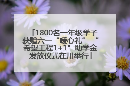 1800名一年级学子获赠六一“暖心礼” “希望工程1+1”助学金发放仪式在川举行
