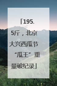 195.5斤，北京大兴西瓜节“瓜王”重量破纪录