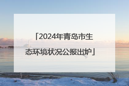 2024年青岛市生态环境状况公报出炉