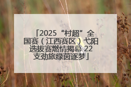2025“村超”全国赛（江西赛区）弋阳选拔赛燃情揭幕 22支劲旅绿茵逐梦