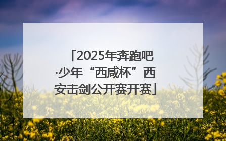 2025年奔跑吧·少年“西咸杯”西安击剑公开赛开赛