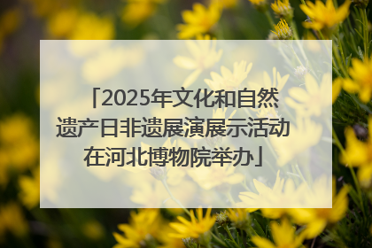 2025年文化和自然遗产日非遗展演展示活动在河北博物院举办