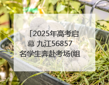 2025年高考启幕 九江56857名学生奔赴考场(组图｜视频)
