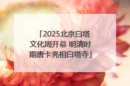 2025北京白塔文化周开幕 明清时期唐卡亮相白塔寺