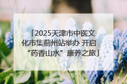 2025天津市中医文化市集蓟州站举办 开启“药香山水”康养之旅