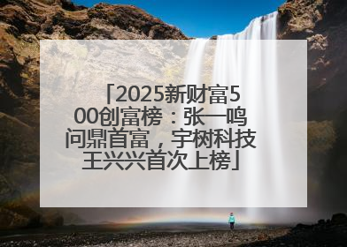 2025新财富500创富榜：张一鸣问鼎首富，宇树科技王兴兴首次上榜