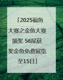 2025福鱼大赛之金鱼大赛颁奖 56尾获奖金鱼免费展览至15日