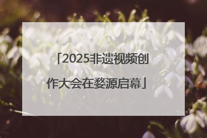 2025非遗视频创作大会在婺源启幕
