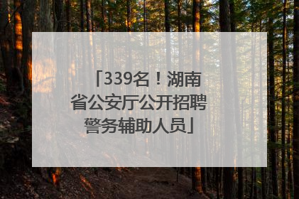 339名！湖南省公安厅公开招聘警务辅助人员