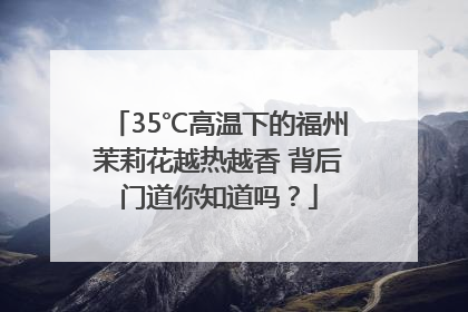 35℃高温下的福州茉莉花越热越香 背后门道你知道吗？