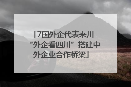 7国外企代表来川 “外企看四川”搭建中外企业合作桥梁