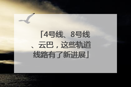 4号线、8号线、云巴，这些轨道线路有了新进展