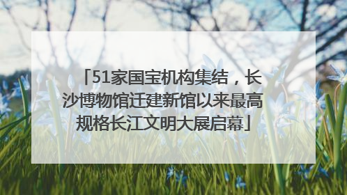 51家国宝机构集结，长沙博物馆迁建新馆以来最高规格长江文明大展启幕
