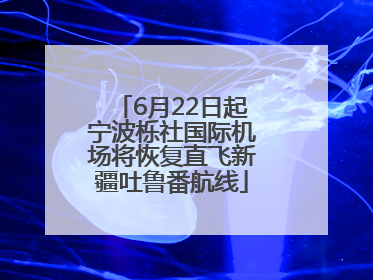 6月22日起宁波栎社国际机场将恢复直飞新疆吐鲁番航线