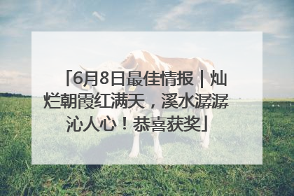 6月8日最佳情报｜灿烂朝霞红满天，溪水潺潺沁人心！恭喜获奖