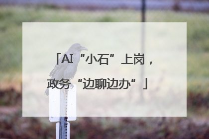 AI“小石”上岗，政务“边聊边办”