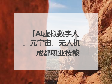AI虚拟数字人、元宇宙、无人机……成都职业技能大赛启动