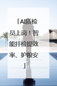 AI质检员上岗！智能扦检提效率、护粮安