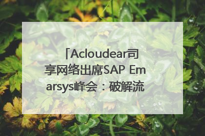 Acloudear司享网络出席SAP Emarsys峰会：破解流量困局，驱动精准增长