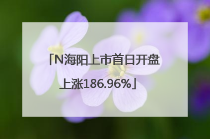N海阳上市首日开盘上涨186.96%