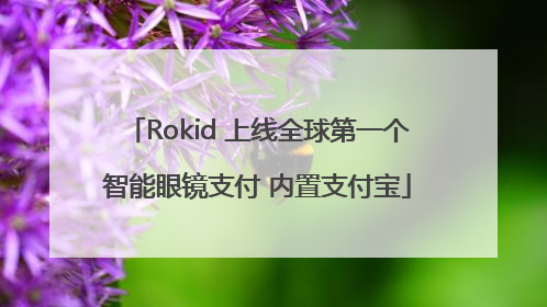 Rokid 上线全球第一个智能眼镜支付 内置支付宝